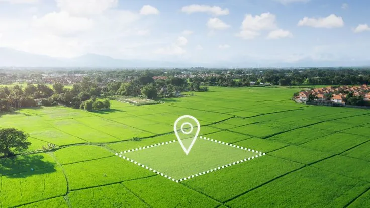 Aerial view of green open land