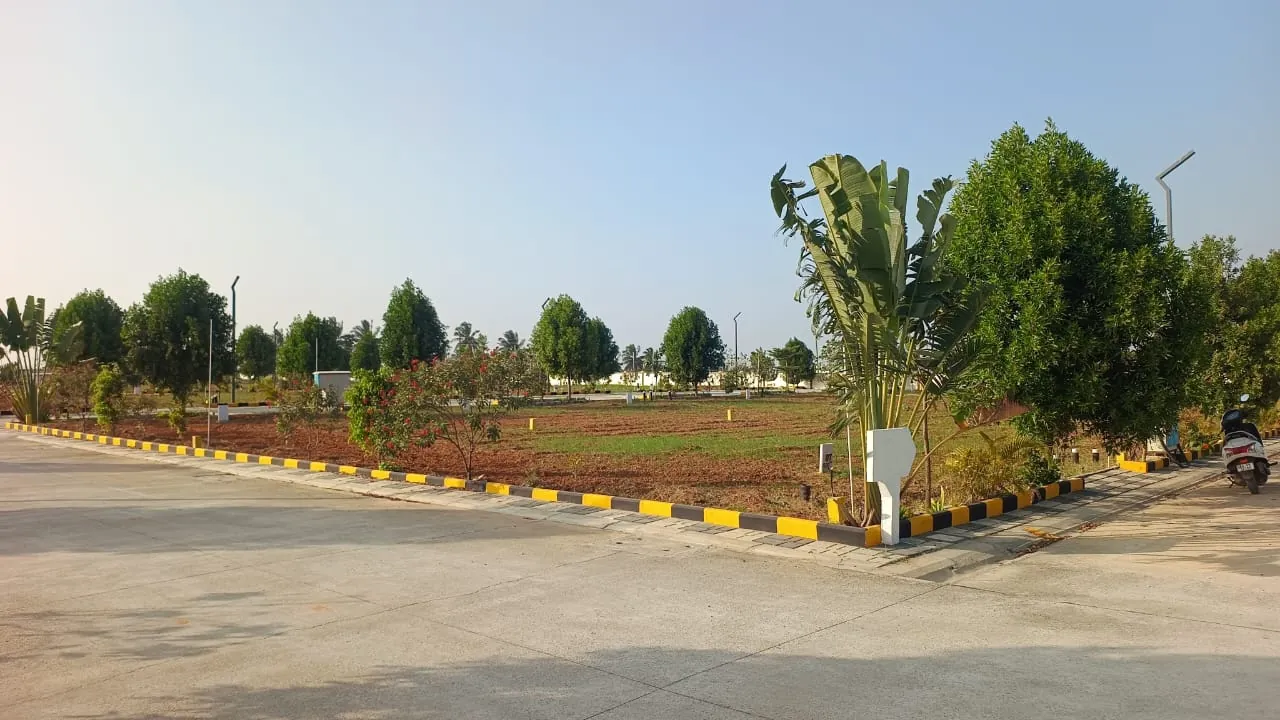 Concrete road with plantation at Manana Ashraya