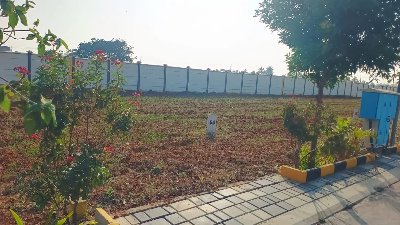 Landscaped plot boundary at Manana Ashraya