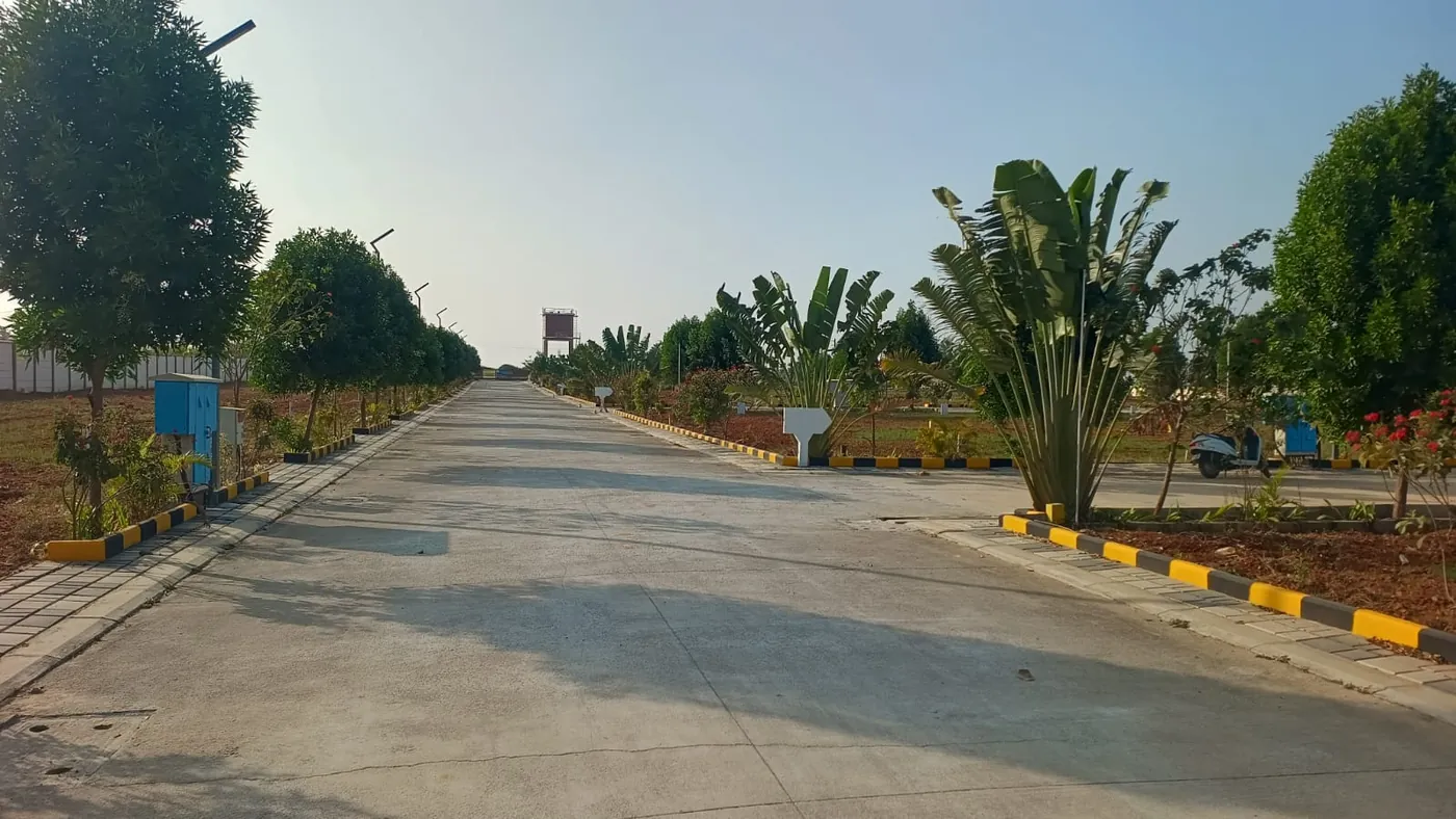 Tree-lined internal road at Manana Ashraya