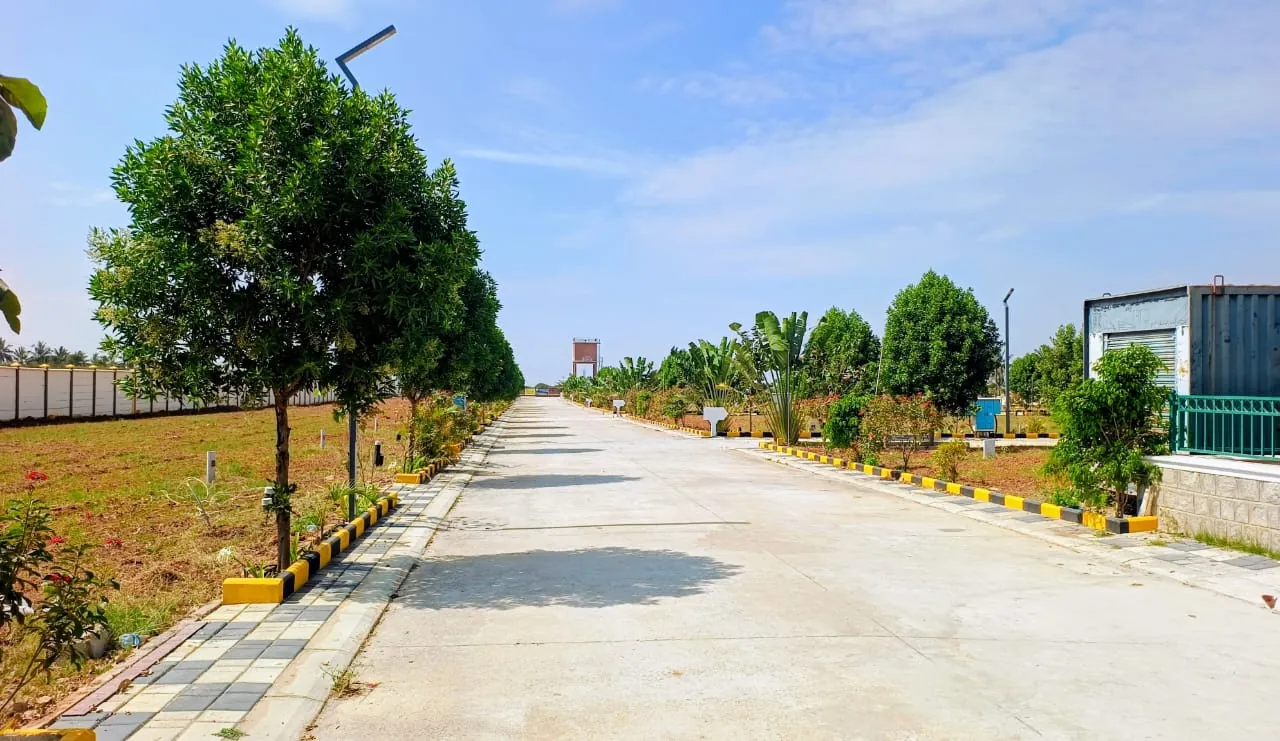 Concrete road through the Manana Ashraya layout