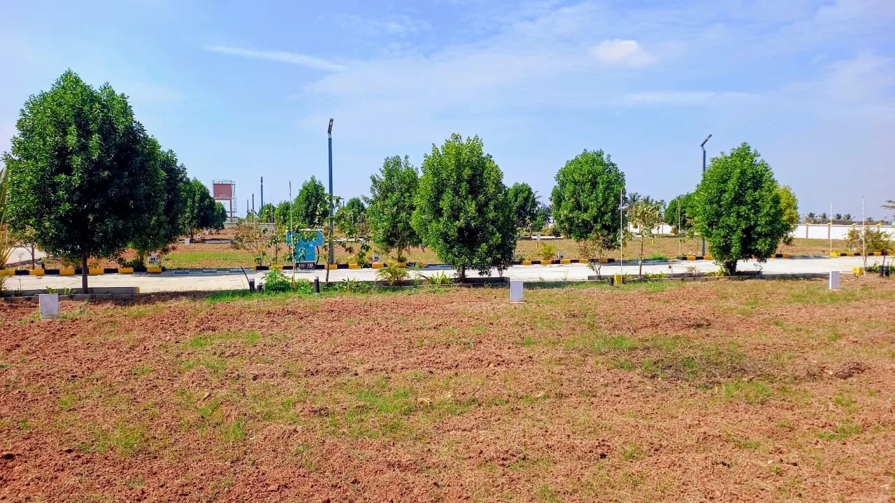 Planted avenue and open plots at Manana Ashraya