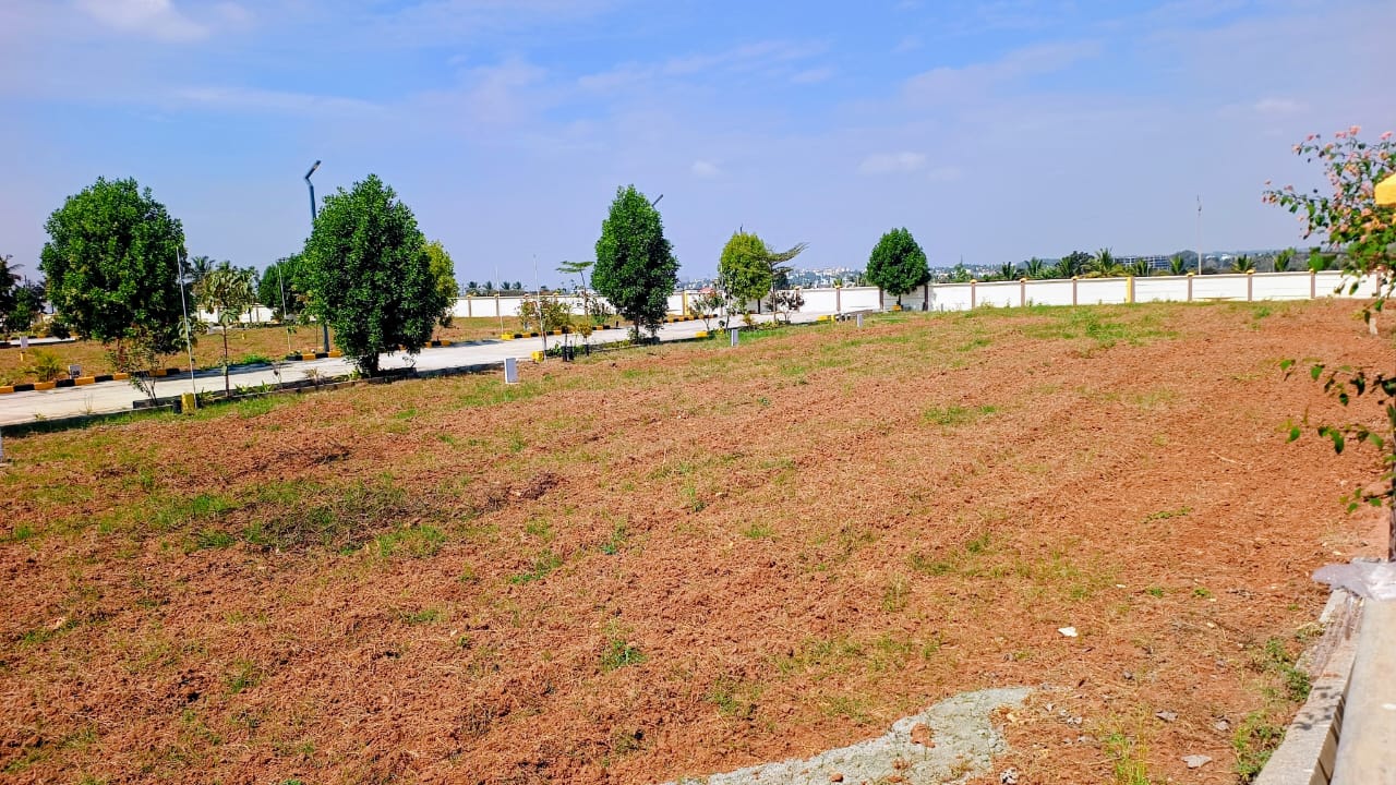 WhatsApp Image 2026-01-20 at 6.27